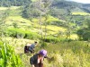HỒ A PHÒNG - TẤP GƯƠNG VƯỢT KHÓ VƯƠN LÊN TRONG HỌC TẬP